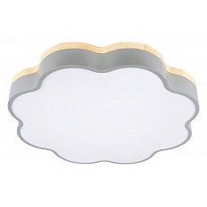 Накладной светильник loft it axel 10225-36 grey